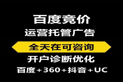 百度竞价SEM案例研究：提升转化率的关键策略